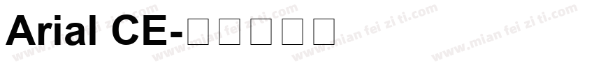 Arial CE字体转换